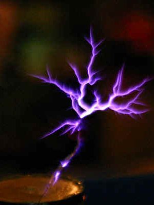 Photo by Mike Harrison